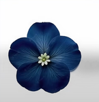 Finley’s Flower group