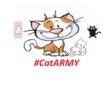 i love my cat 56328