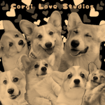 Corgi Love Studios