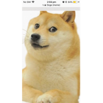 xDoge Clan!