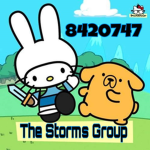 The storms group