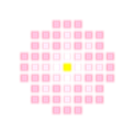 Dream Sakura