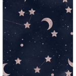 The Stary Squad!