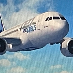 plane flight