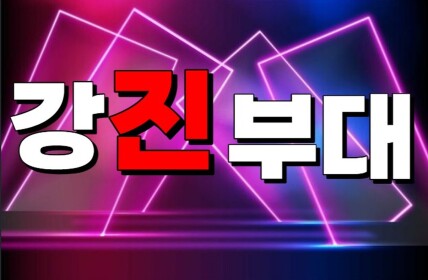 강진부대ㅣ레이더출시,체력 GUI출시
