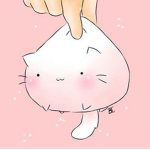 Dumpling Cats :3