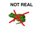 Frogs Aren't Real