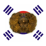 대한제국 육군