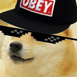 Doge Mafia”