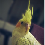 SCREEEEEEEEEEEEEEEEEEEEEEEEEEEEEEEEEEEEEE