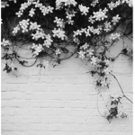 ItsFunneh squad group
