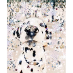 - dog -
