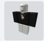 SHIRT FLAMINGO
