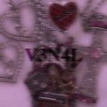 V3N4L