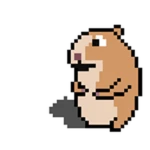 8-Bit Chomik