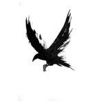 Birds United / join us