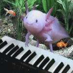 Axolotl Group for Fansssss :D