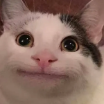 OOKEH