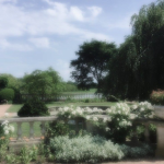 lovegardenn