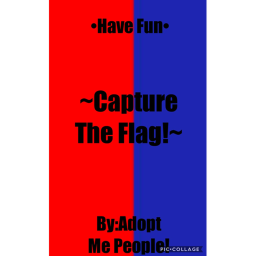 Capture The Flag!!