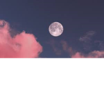 @1!x!1@