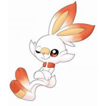 scorbunny and me