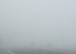 THEFOGTHEFOGTHEFOG