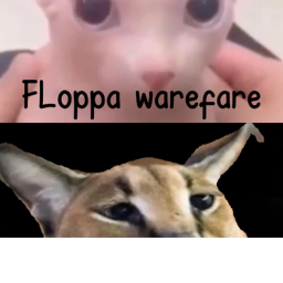 Floppa warfare