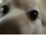 Ello humans :)