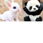 Animals r the BEST!!!