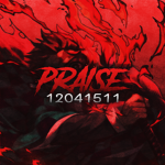 彡 Praise