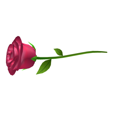 Pink Rose