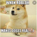 Doge’s party