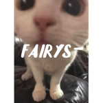 fairys-