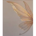 Wings of Everything