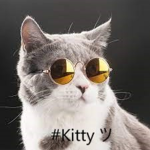 #Kitten ツ