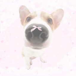 .ᐟ ‿ . ◜ ͡ ୨୧ ◟ ͜ ◞ ༝ ◜ ༘ ͡ .ᐟ ◟ ͜ ◞ ˙･ ◟ ͜ ◜ ༝ ꒷˳