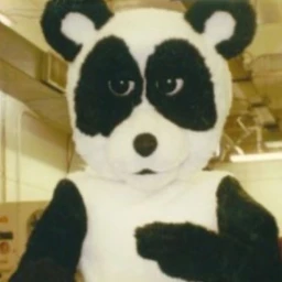 Dandy Bear's Fun Day Band  icon