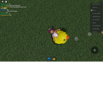WE.ARE.DUCKIES