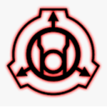 [RAPID RESPONSE] TEAM