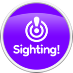 Easter Egg Experienced!