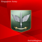 [SAF] Commando Formation