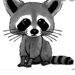 The Trash pandas Club