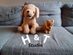 H & T Studio