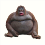 MONKE_GANG
