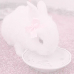Ი𐑼