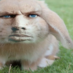 The Rabbit Hole Studios