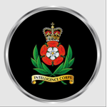 [-OBA-] Royal Intelligence Corps
