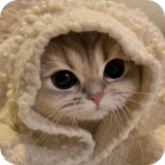 Aelyos