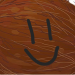 COCONUTZZZ ARMY